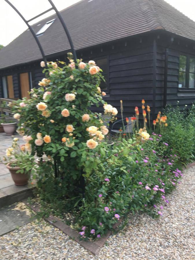 Little Orchard Cottage Кэнтербари Экстерьер фото